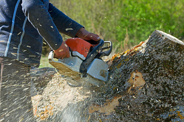 Lawn Grading and Leveling in Gloucester, MA